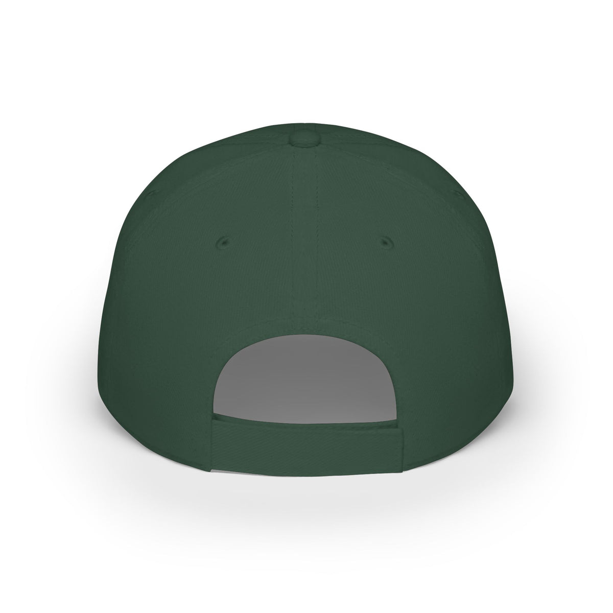 Low Profile Baseball Cap — Past Curfew Vintage Logo Hat